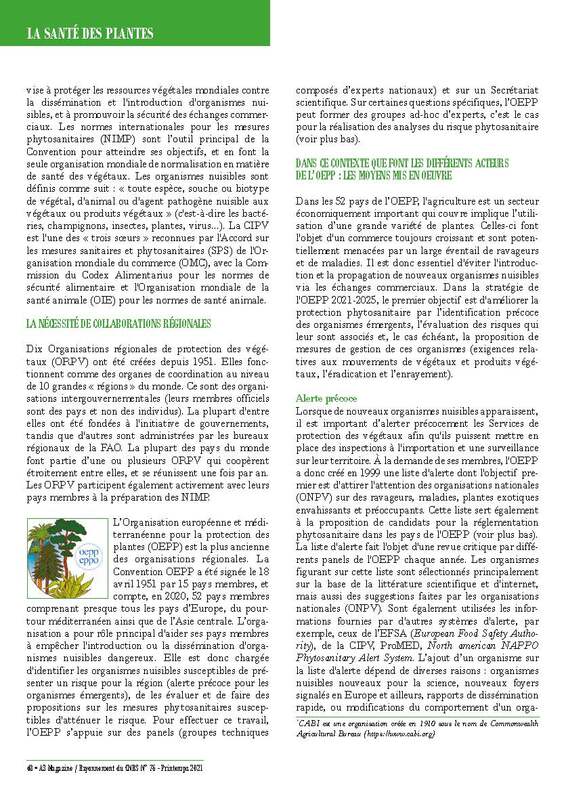 A3Magazine76Plantes_Page_50.jpg