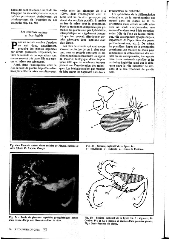 courrier cnrs 50_Page_32.jpg courrier cnrs 50_Page_32.jpg