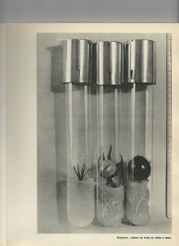 Rapport CNRS 1961-1962