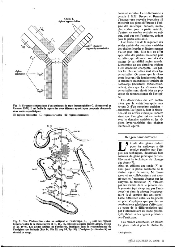 courrier cnrs 58_Page_11.jpg courrier cnrs 58_Page_11.jpg