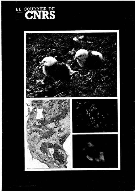 courrier cnrs 55-56_Page_84.jpg courrier cnrs 55-56_Page_84.jpg