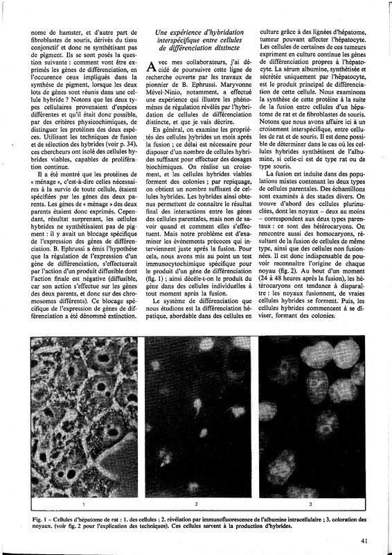 courrier cnrs 41_Page_36.jpg courrier cnrs 41_Page_36.jpg