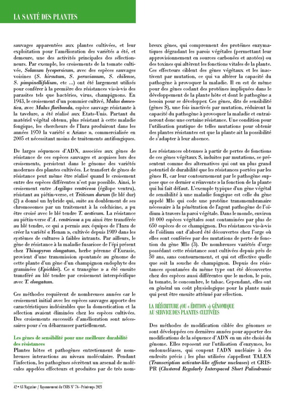 A3Magazine76Plantes_Page_44.jpg