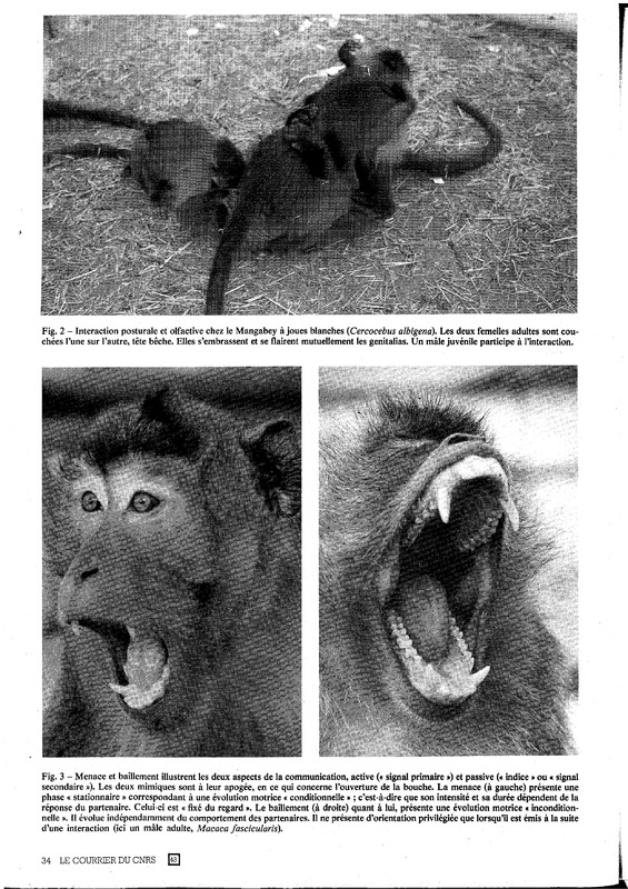 courrier cnrs 43_Page_30.jpg courrier cnrs 43_Page_30.jpg