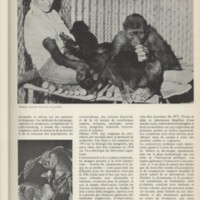 Le courrier du CNRS 8