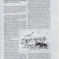 Bulletin de l'Association des anciens et des amis du CNRS n°12