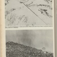 Le courrier du CNRS 34