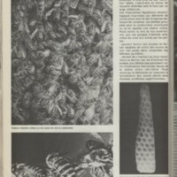 Le courrier du CNRS 30