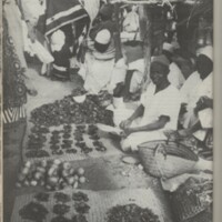 Le courrier du CNRS 30