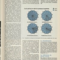 Le courrier du CNRS 18