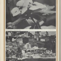 Le courrier du CNRS 14