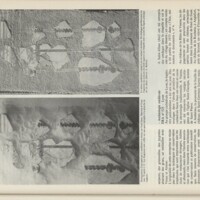 Le courrier du CNRS 19