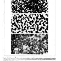 courrier cnrs 43_Page_22.jpg