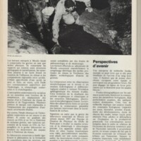 Le courrier du CNRS 4