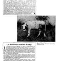 courrier cnrs 69-70_Page_75.jpg