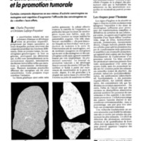 courrier cnrs 72_Page_088.jpg