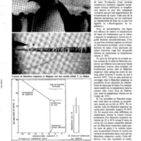 courrier cnrs 50_Page_17.jpg