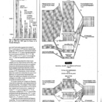 courrier cnrs 65_Page_44.jpg