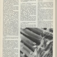 Le courrier du CNRS 12