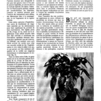 courrier cnrs 50_Page_33.jpg