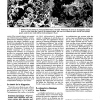 courrier cnrs 76_Page_051.jpg