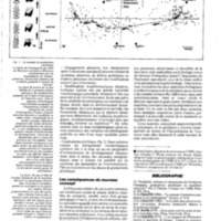 courrier cnrs 59_Page_24.jpg