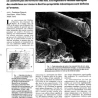 courrier cnrs 71_Page_059.jpg