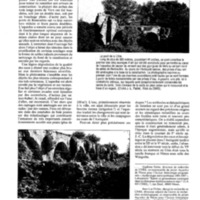 courrier cnrs 73_Page_43.jpg