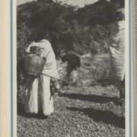 Le courrier du CNRS 18