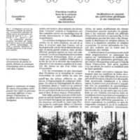 courrier cnrs 59_Page_28.jpg