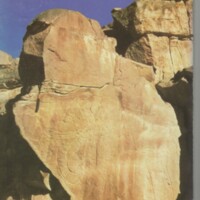 Le courrier du CNRS 25