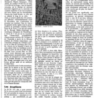 Le courrier du CNRS 1