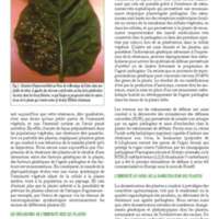 A3Magazine76Plantes_Page_39.jpg