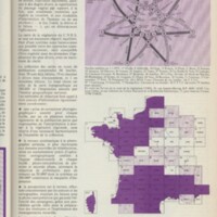 Le courrier du CNRS 11