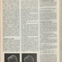 Le courrier du CNRS 24