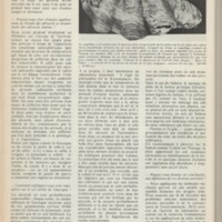 Le courrier du CNRS 6