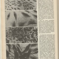 Le courrier du CNRS 34