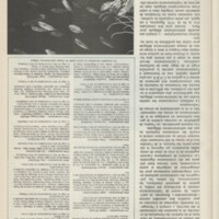 Le courrier du CNRS 19