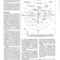 courrier cnrs 71_Page_039.jpg