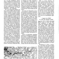 courrier cnrs 45_Page_39.jpg