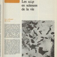 Le courrier du CNRS 17