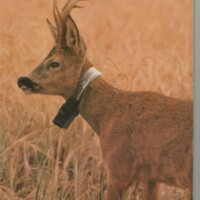 Le courrier du CNRS 18