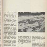 Le courrier du CNRS 2