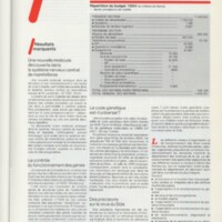 Rapport CNRS 1984