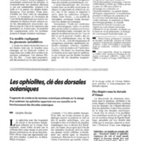 courrier cnrs 76_Page_029.jpg
