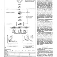 courrier cnrs 41_Page_45.jpg