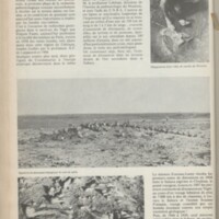 Le courrier du CNRS 3