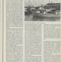 Le courrier du CNRS 29