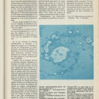 Le courrier du CNRS 31