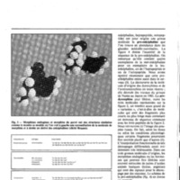 courrier cnrs 55-56_Page_63.jpg